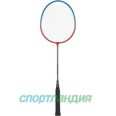 Ракетка для бадмінтону Termit ST-1100-14 